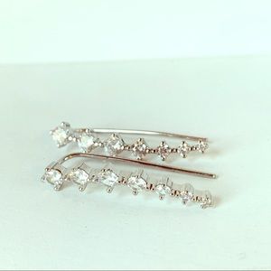 Winged Long Crystal Silver Tone Earrings